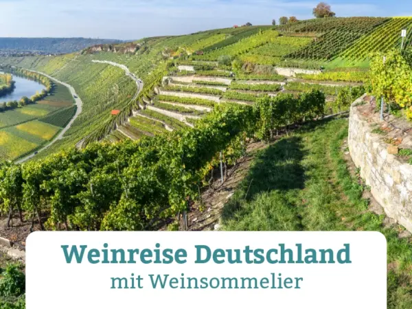 Weinreise Deutschland